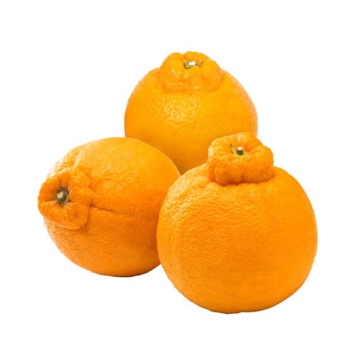 Buy Mandarin Sumo Online in Sydney – A Complete Guide to Fresh Sumo Mandarins
