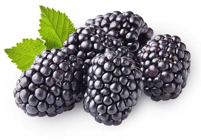 Buy Blackberries Online in Sydney – Fresh Blackberries Delivered to Your Door