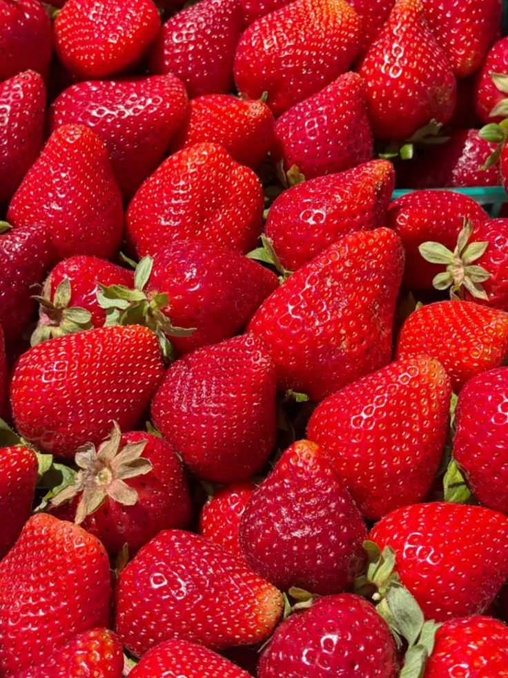 Buy Strawberries online in Sydney