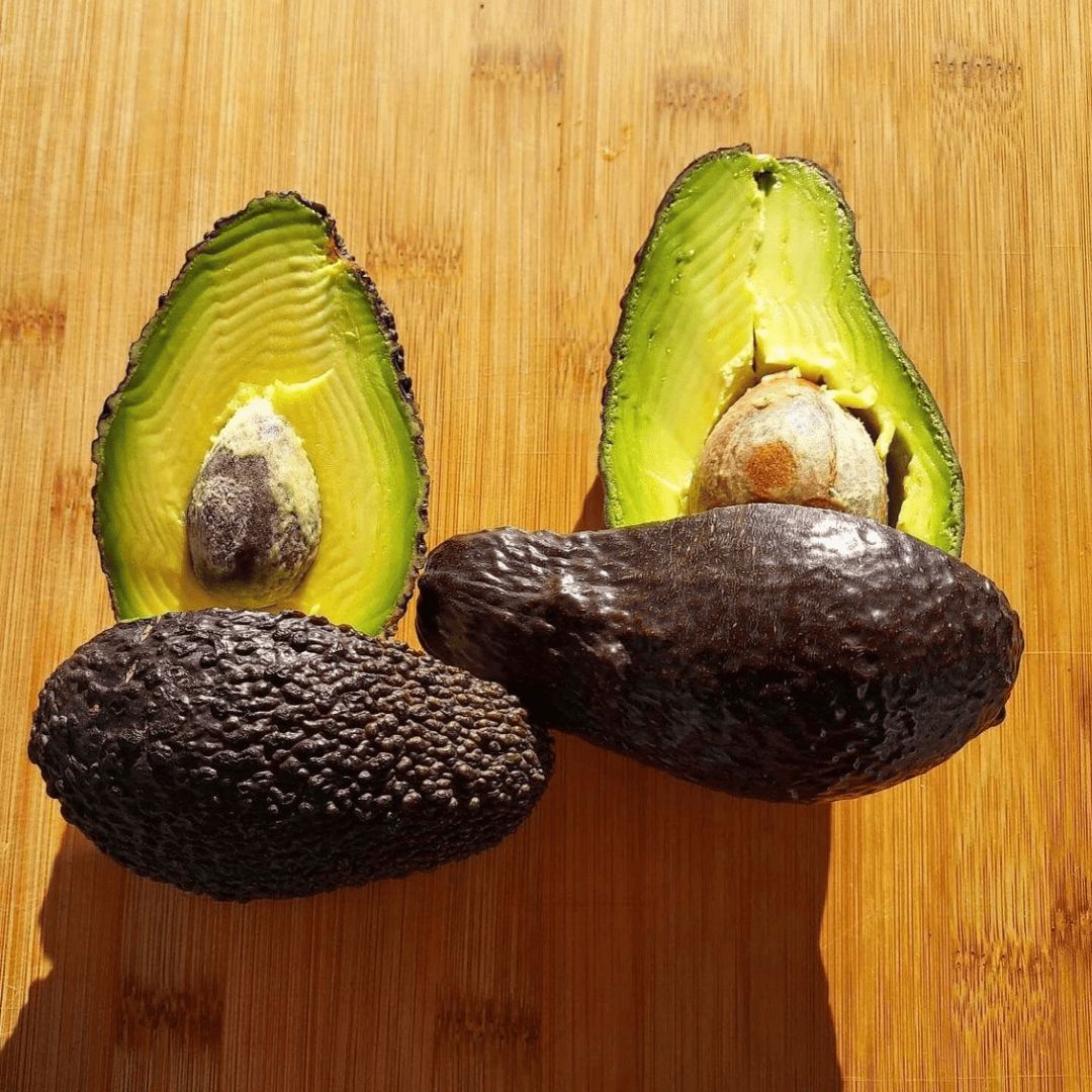 Buy Avocado Shephard online in Sydney