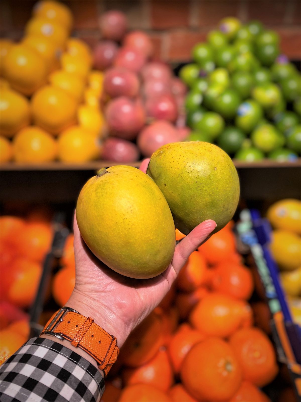 Buy Mango Kensington Pride online in Sydney