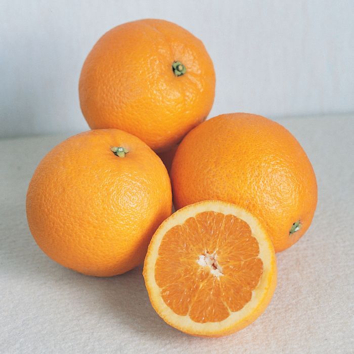 Buy Orange Navel Online in Sydney – Fresh, Juicy Navel Oranges Delivered to Your Door