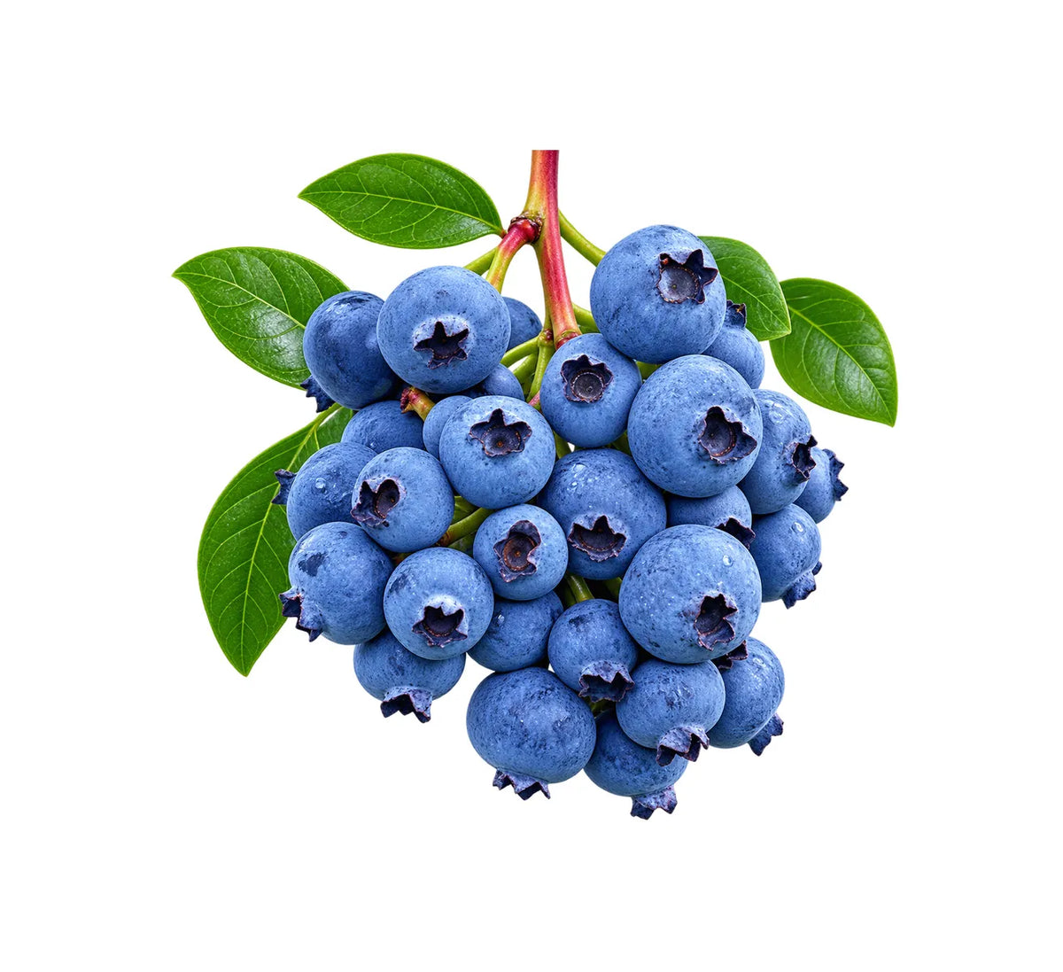 Blueberries