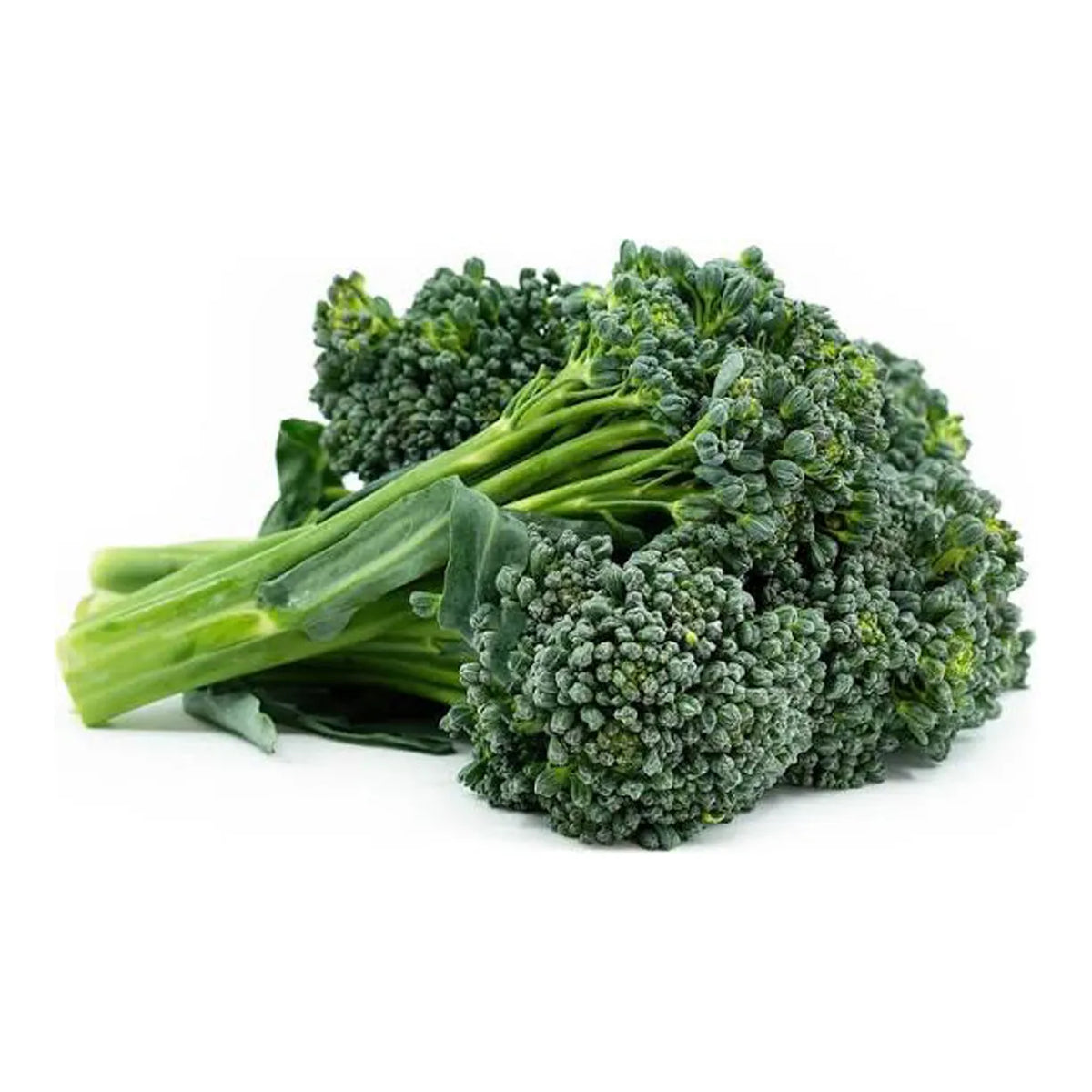 Broccolini