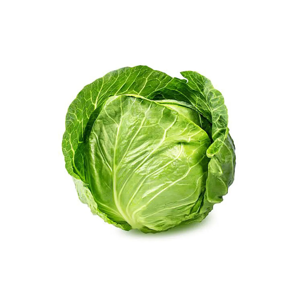 Cabbage