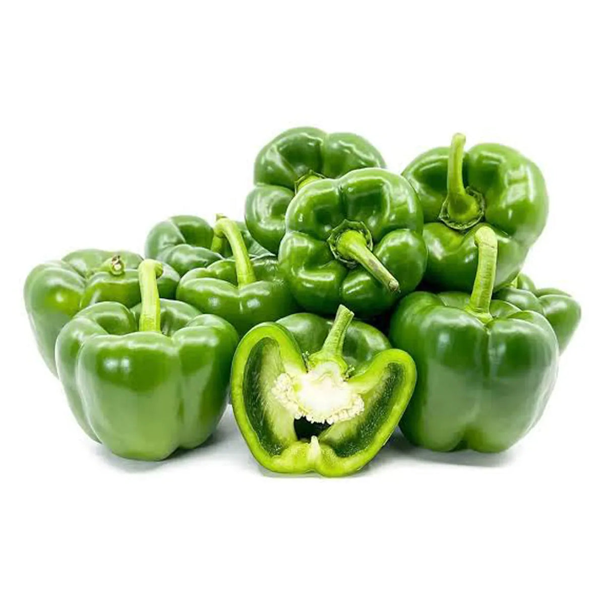 Capsicum