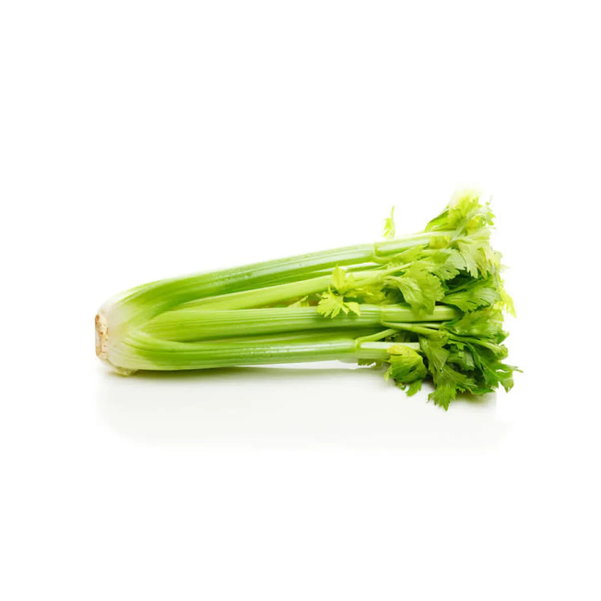 Celery