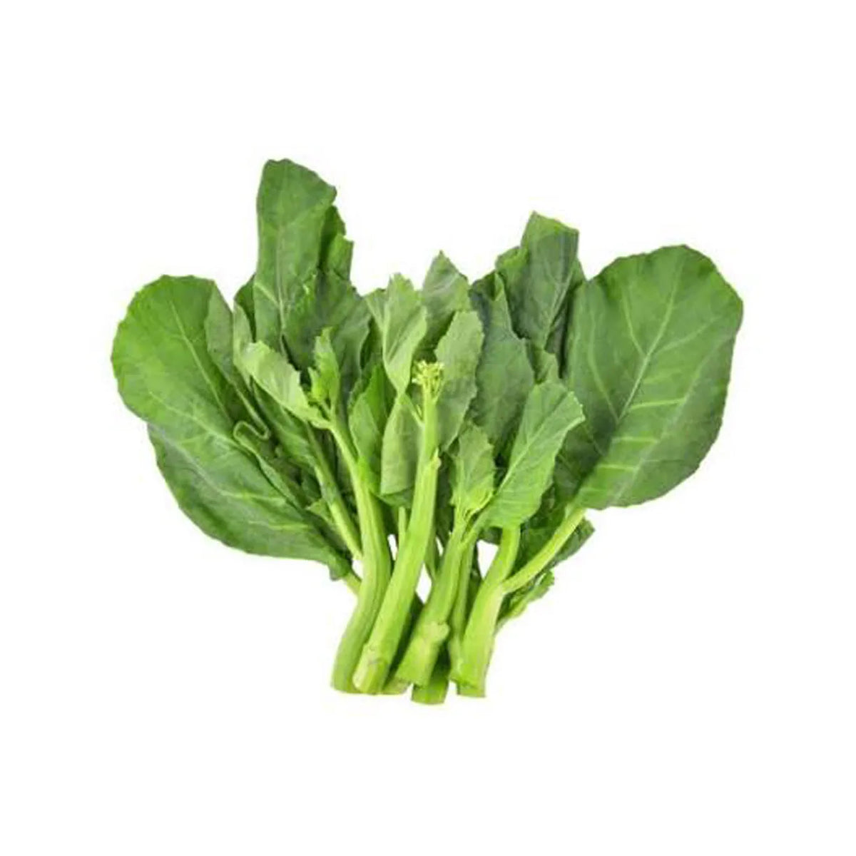 Broccoli Chinese