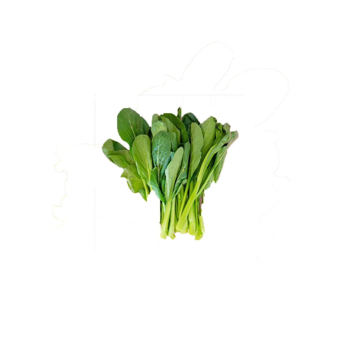 Choy Sum