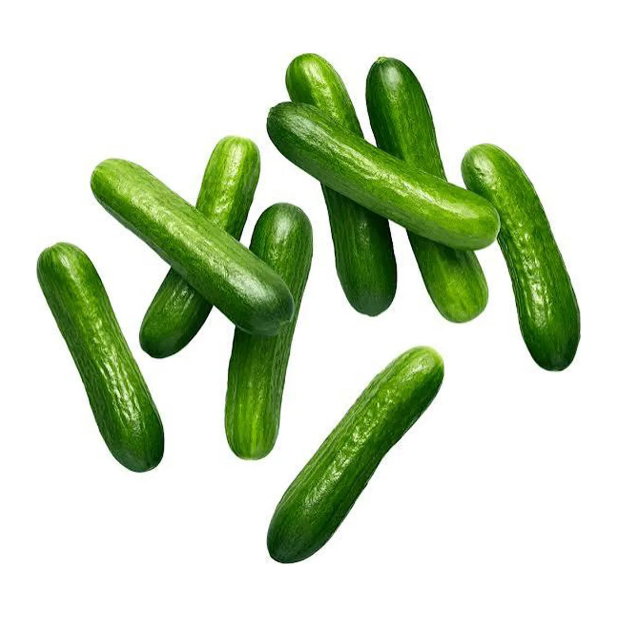 Cucumber