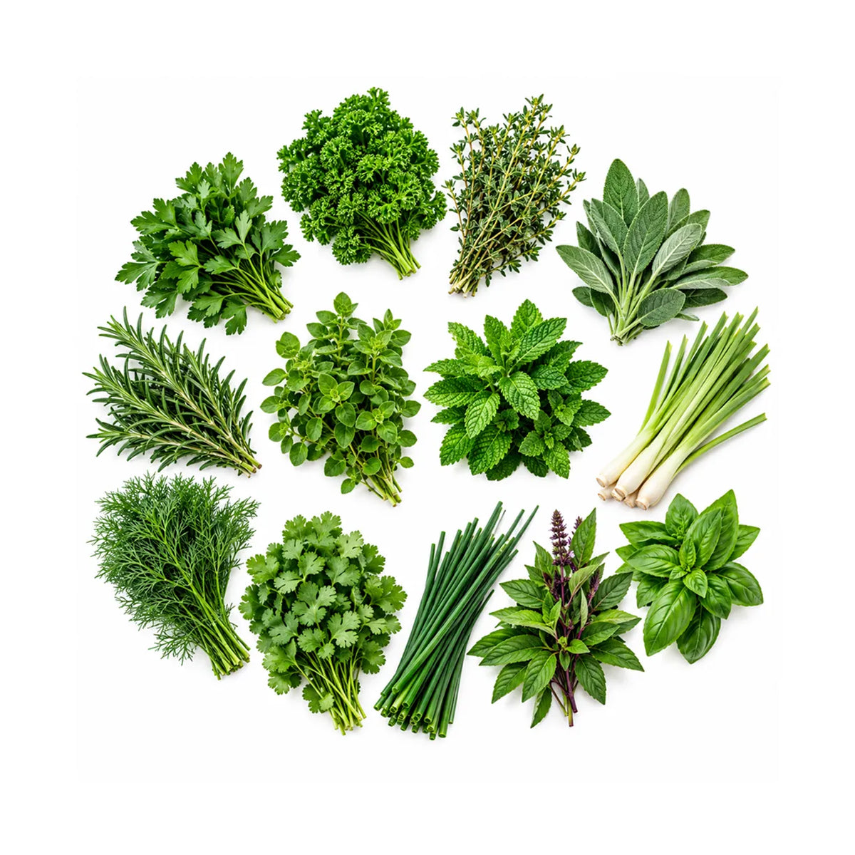 Herbs