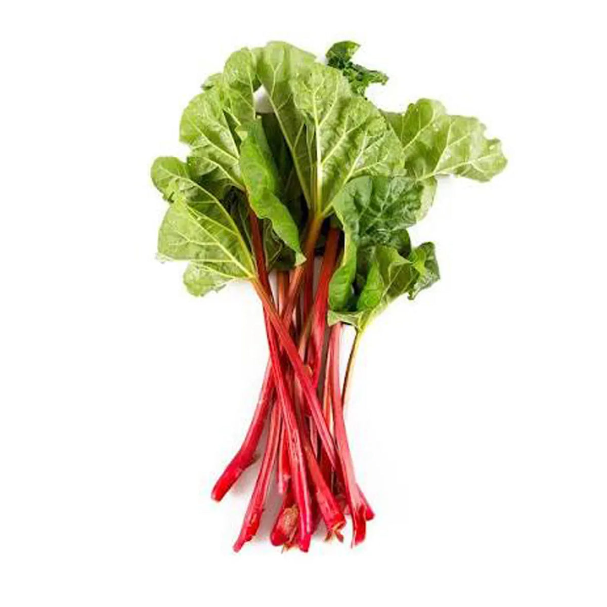 Rhubarb