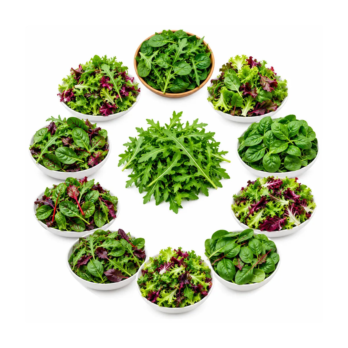 Salad Mixes