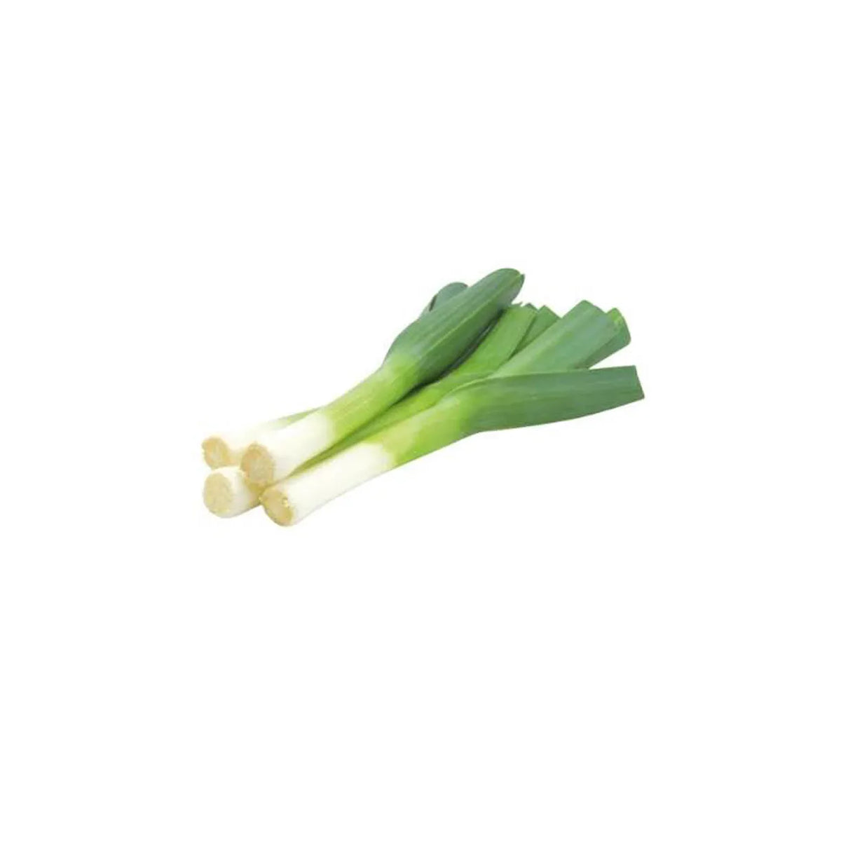 Leek