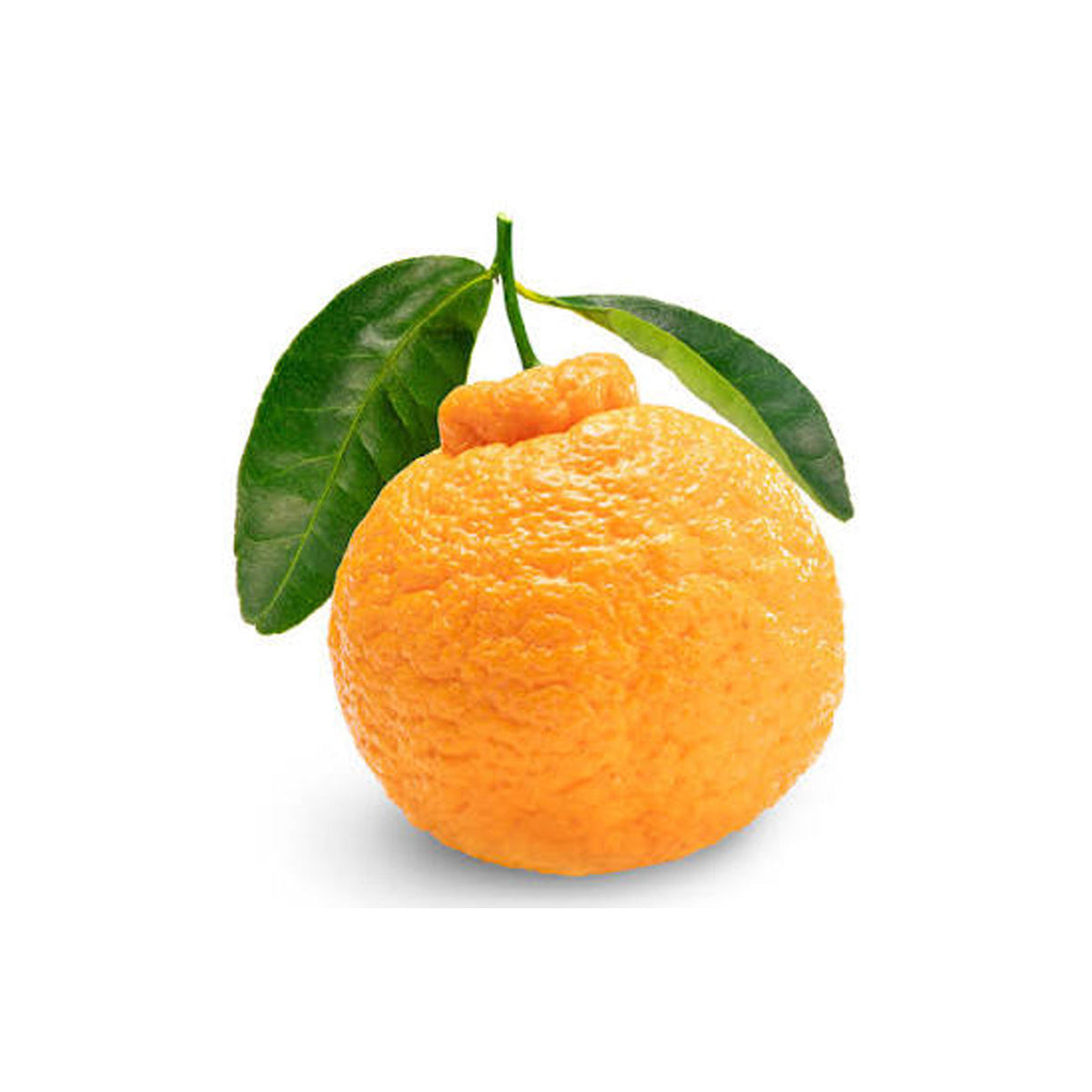 Mandarin