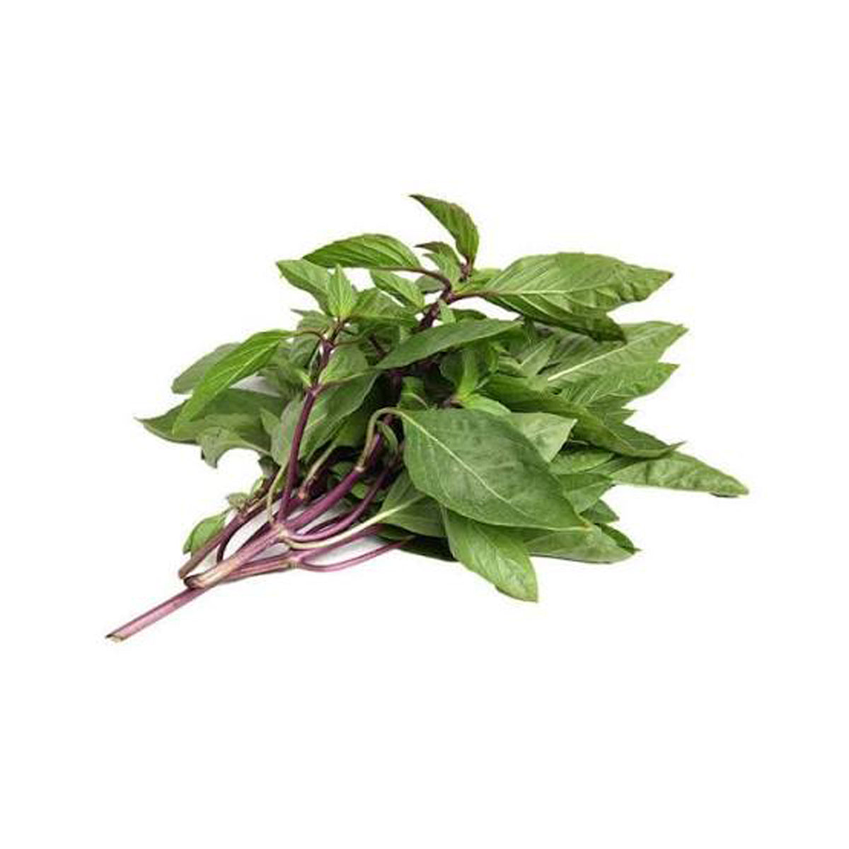 Basil Thai (Bunch)
