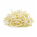 Bean Shoots (Bag)