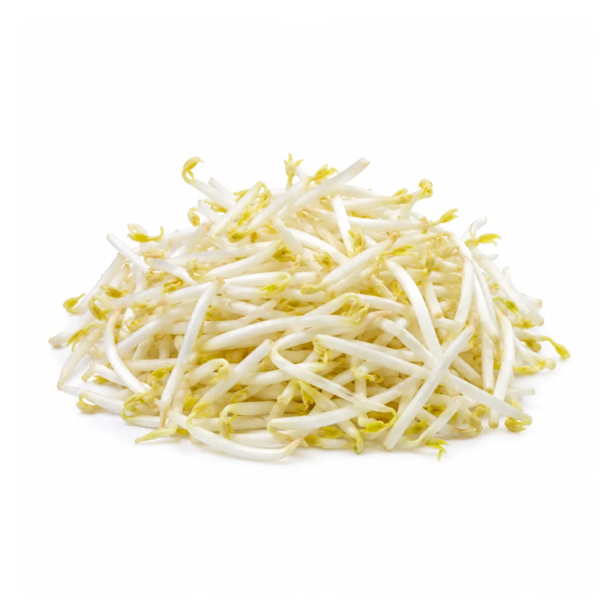 Bean Shoots (Bag)