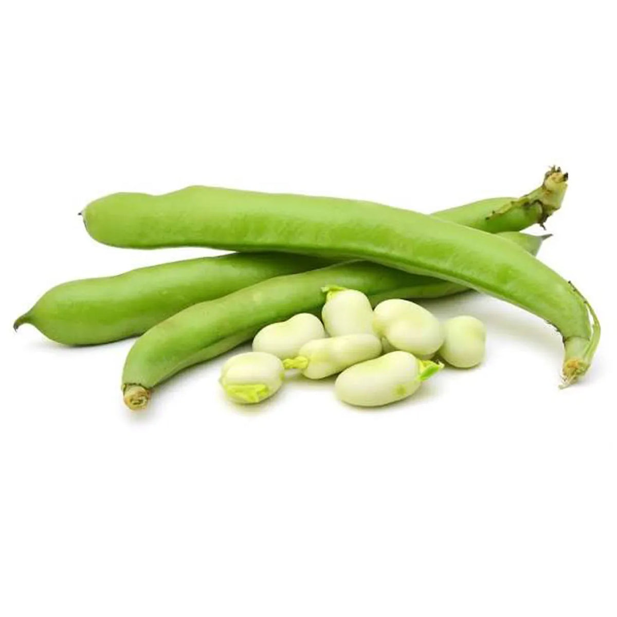 Beans Broad (KG)