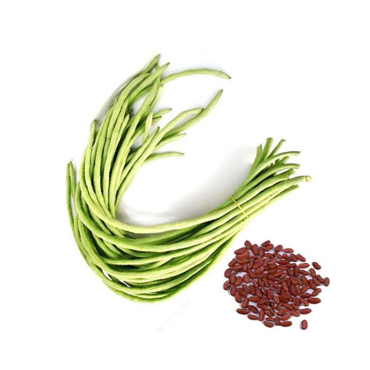 Beans Snake (KG)