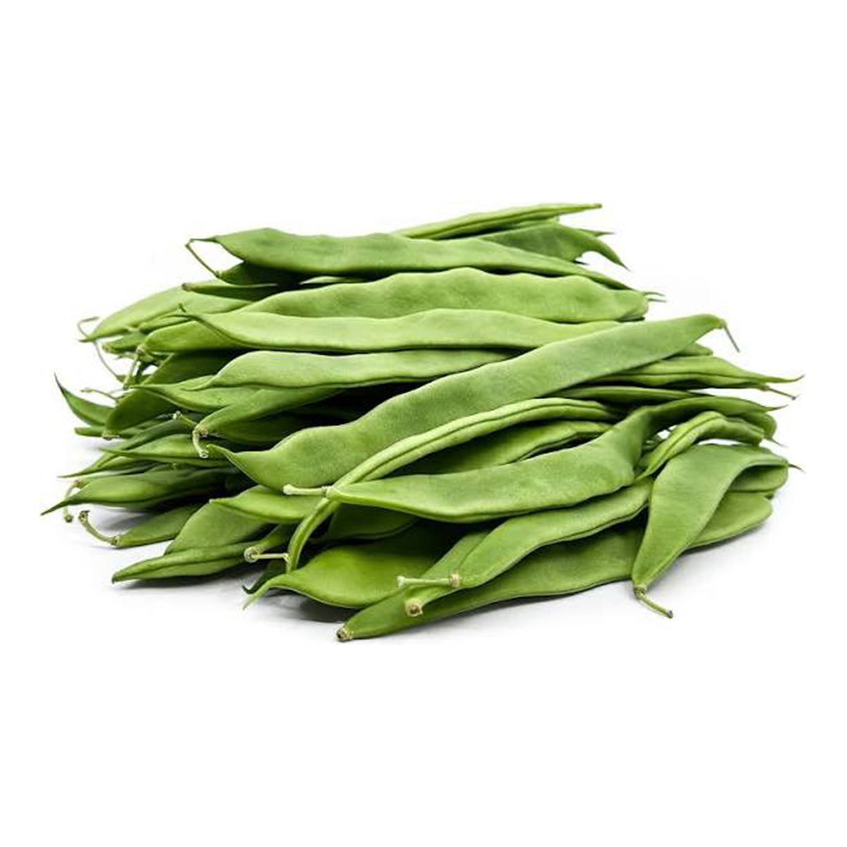 Beans (Continential)