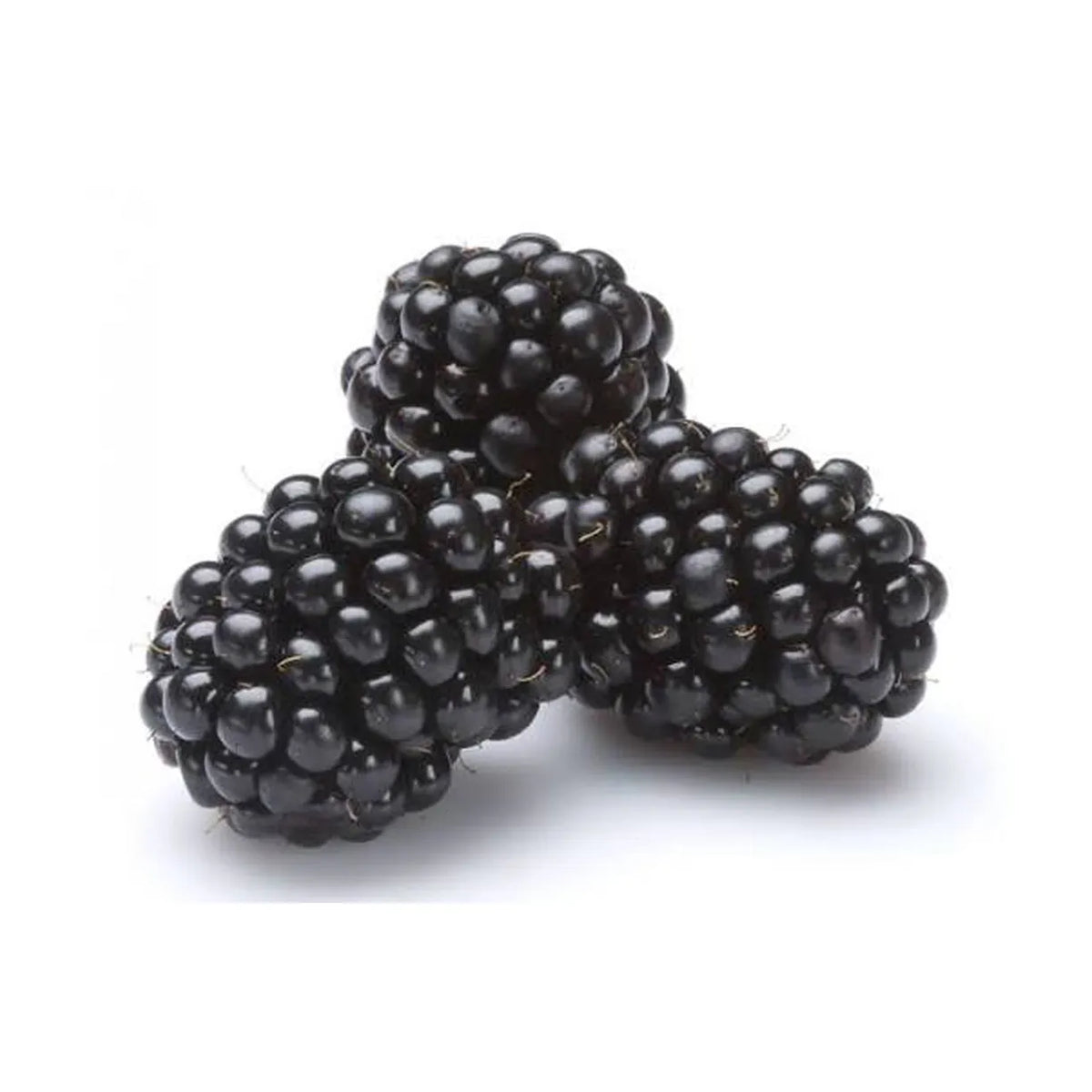 Blackberries