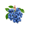 Blueberries