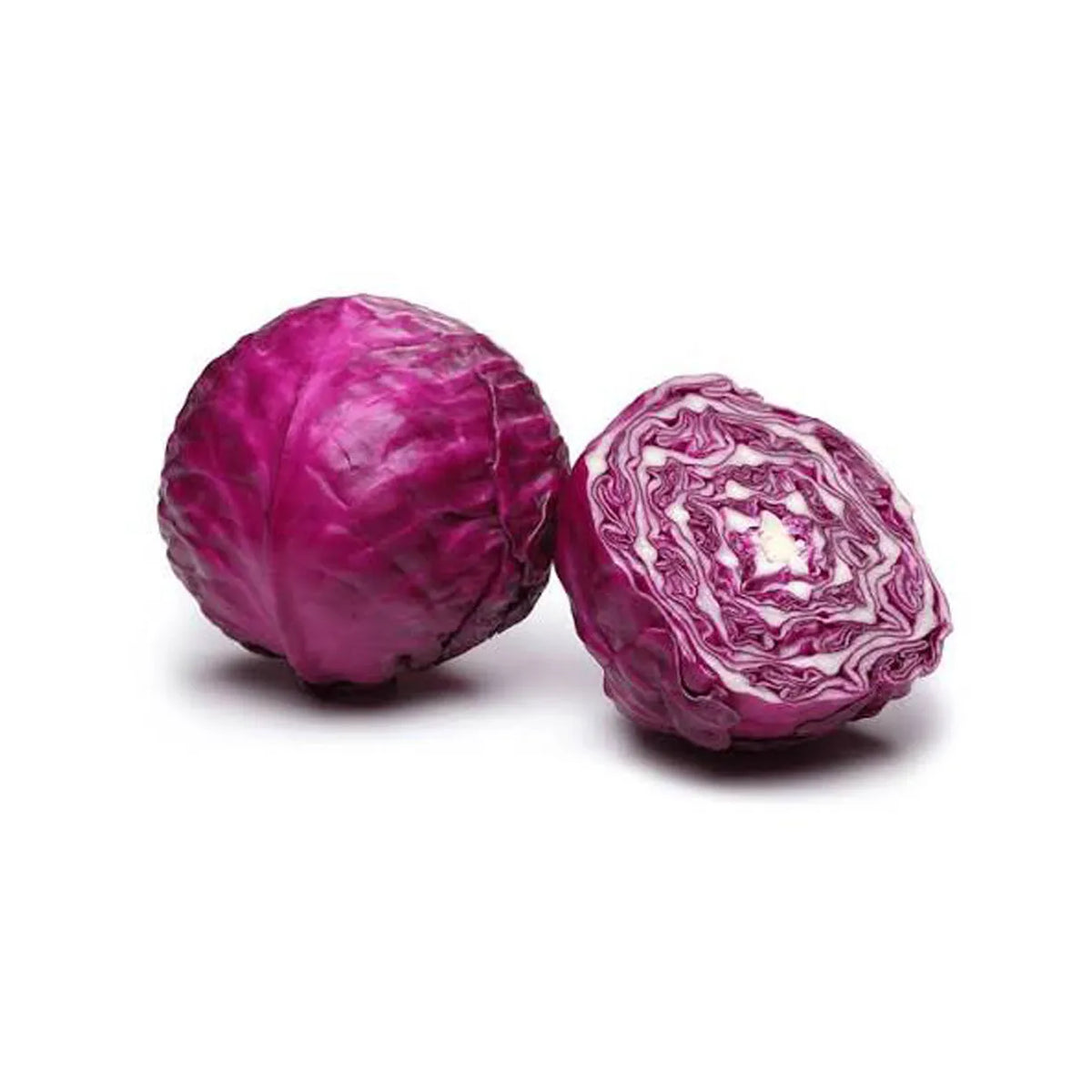 Cabbage Red (Piece)