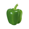 Capsicum Green