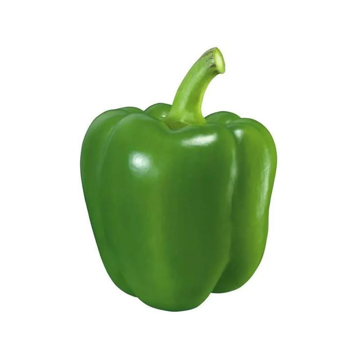 Capsicum Green