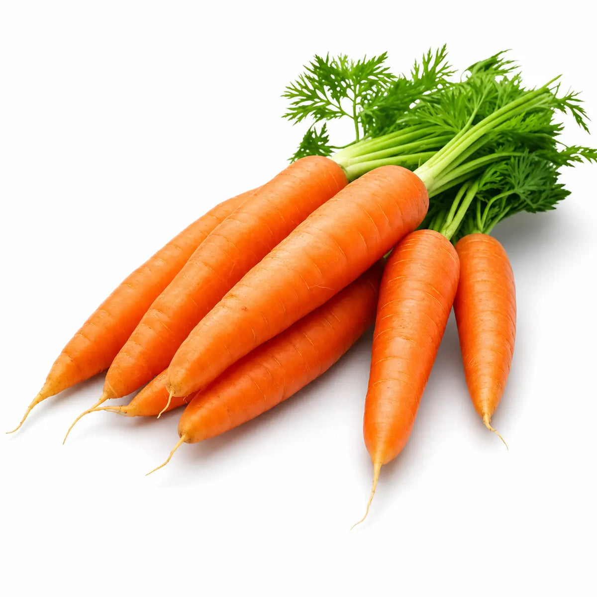 Carrots (KG)