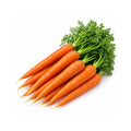 Carrots Dutch Orange (Bunch)