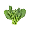 Chinese Broccoli (Bunch)