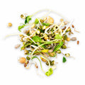 Crunchy Combo Sprouts (Bag)