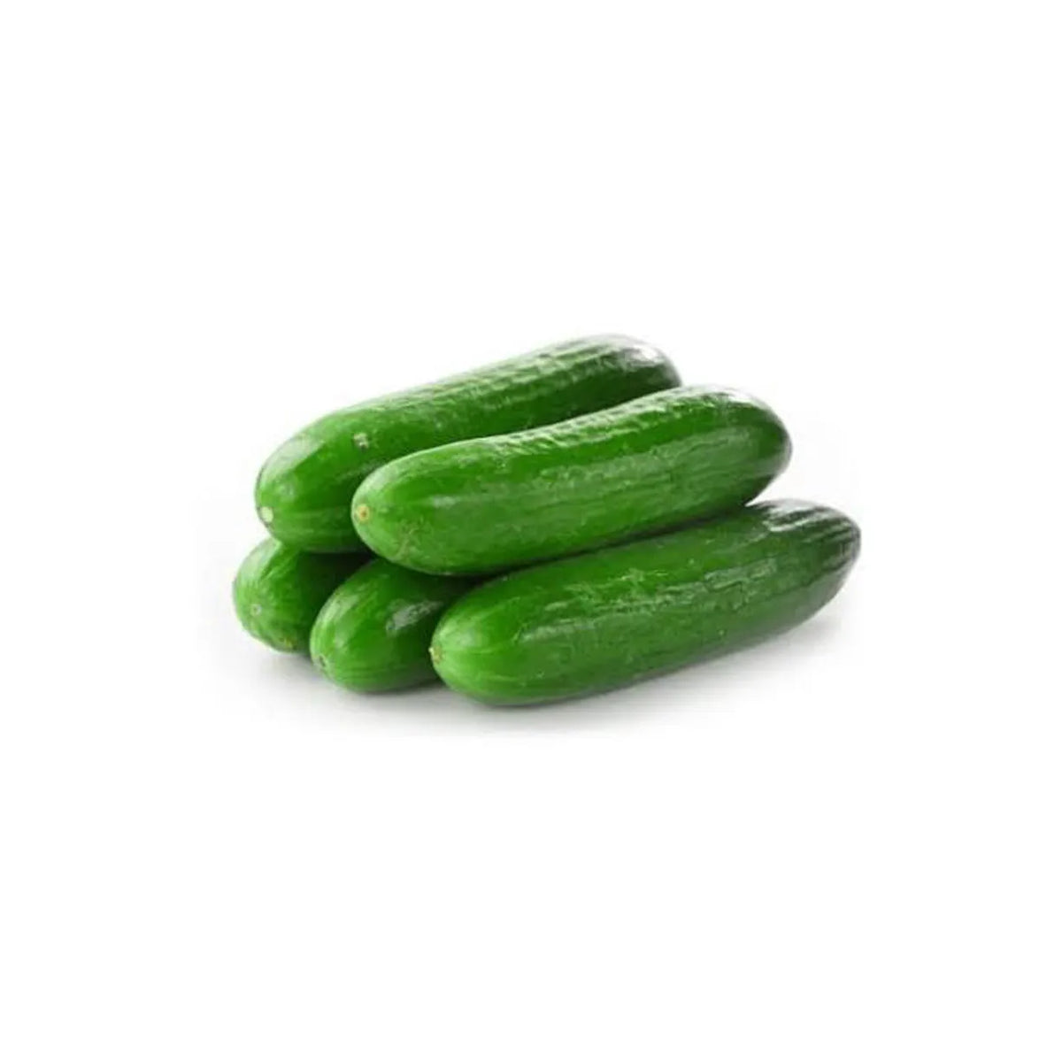 Cucumber Lebanese