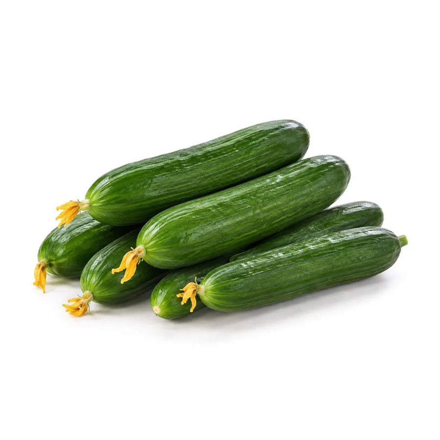 Cucumber Lebanese