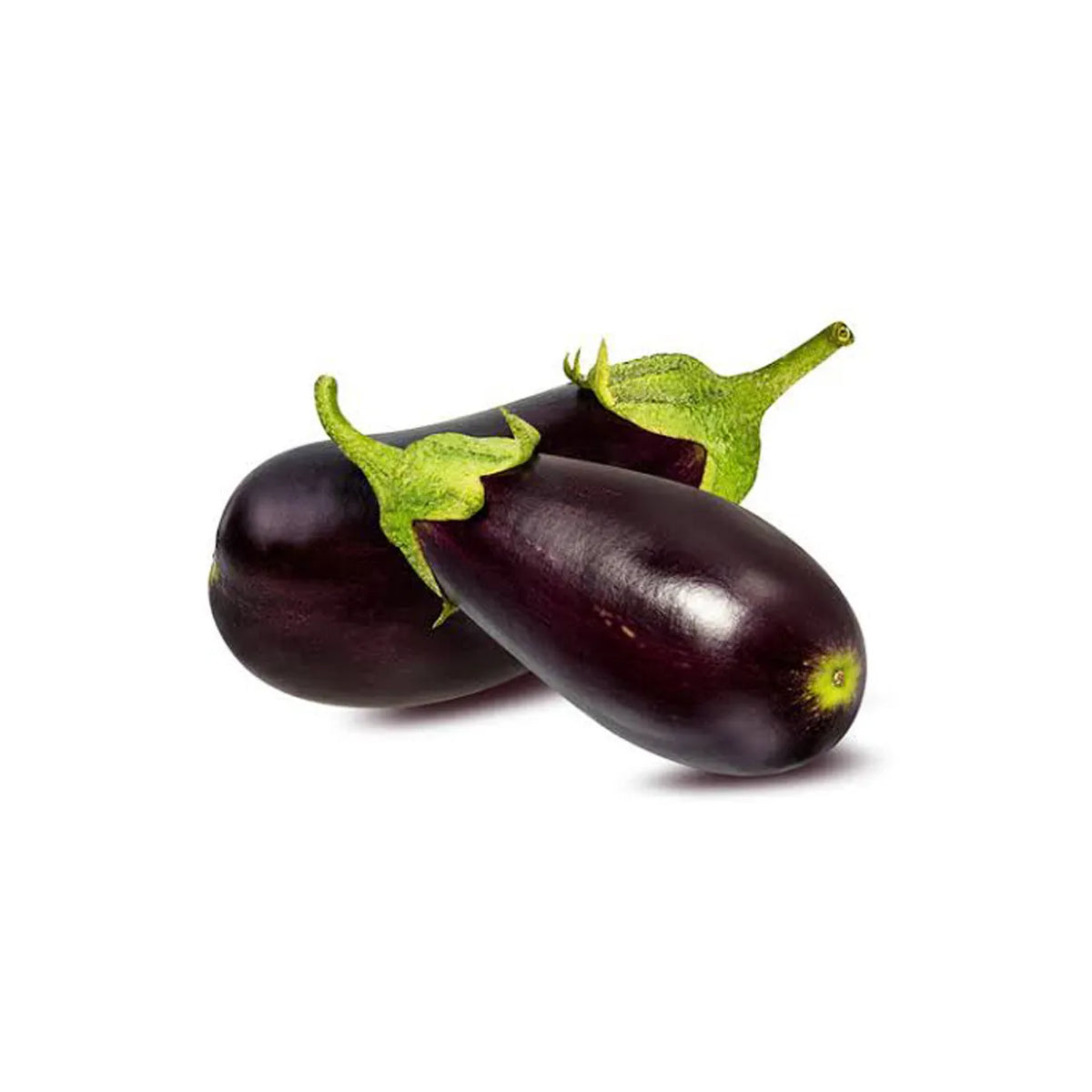 Eggplant Glasshouse