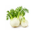 Fennel (Piece)