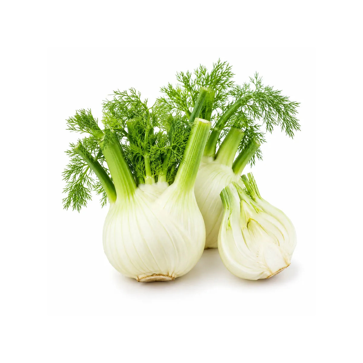 Fennel (Piece)