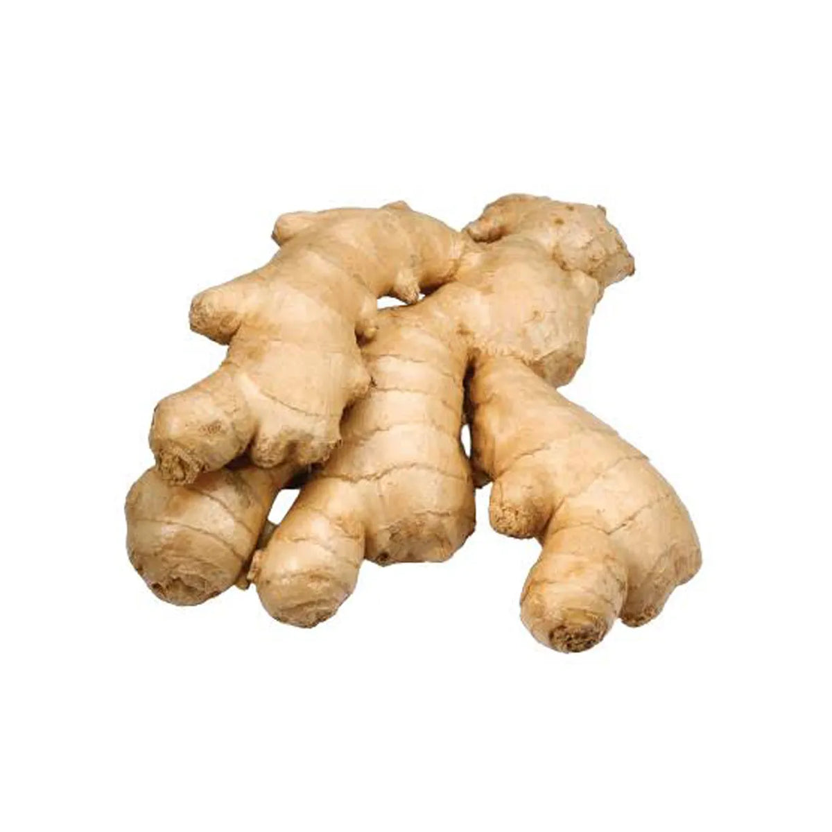 Ginger (Piece)