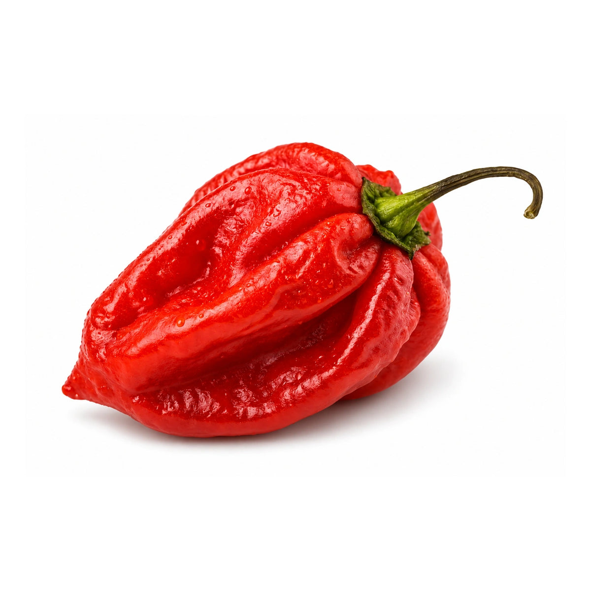 Habanero Chilli