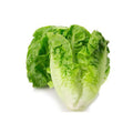 Lettuce Baby Cos (Piece)