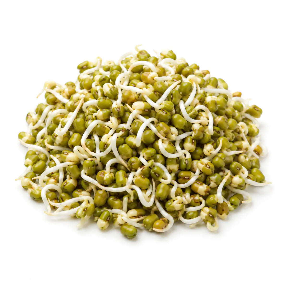 Mung Bean Sprouts (Bag)