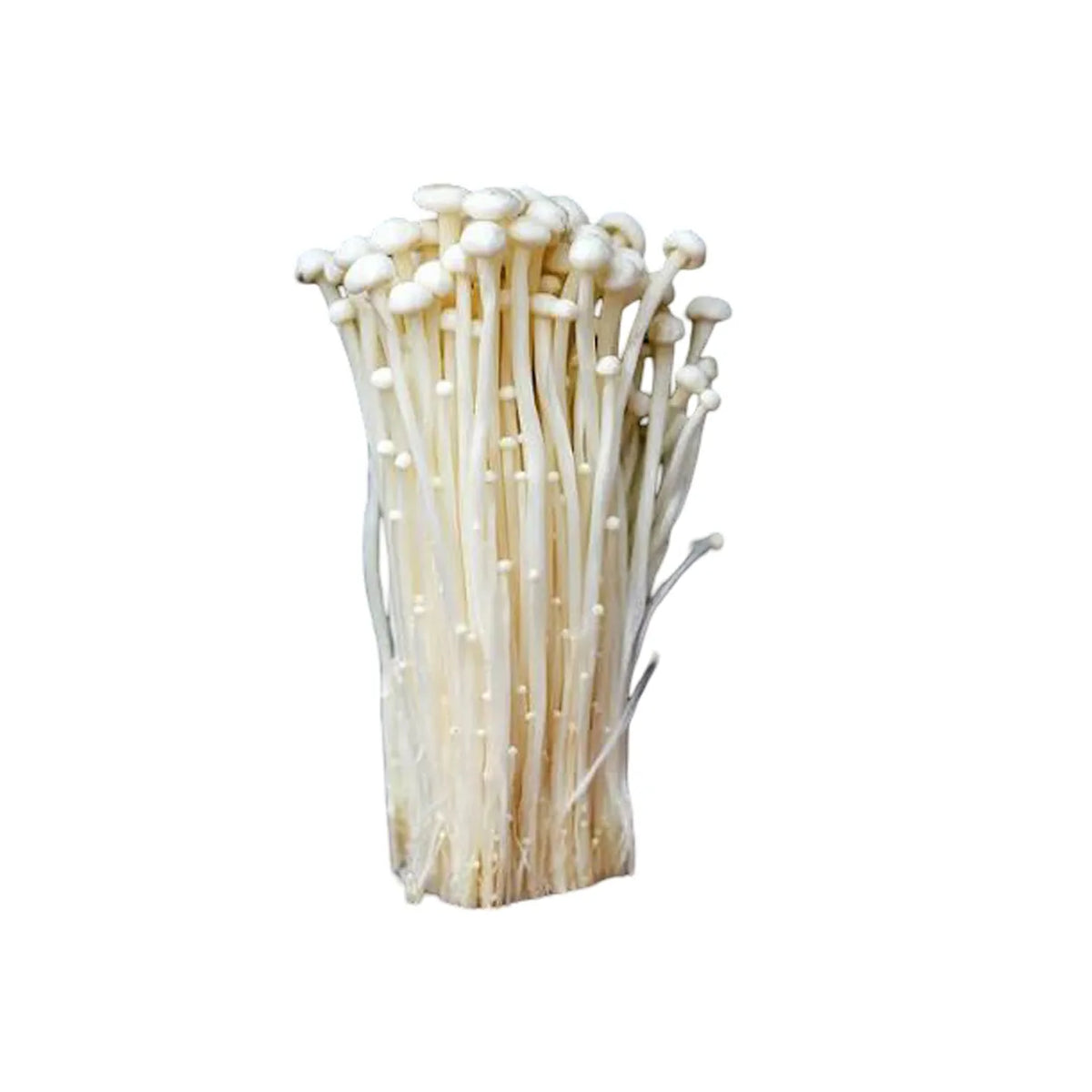 Mushrooms Enoki