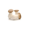 Mushrooms King Oyster