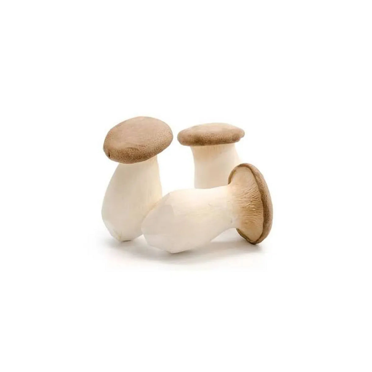 Mushrooms King Oyster