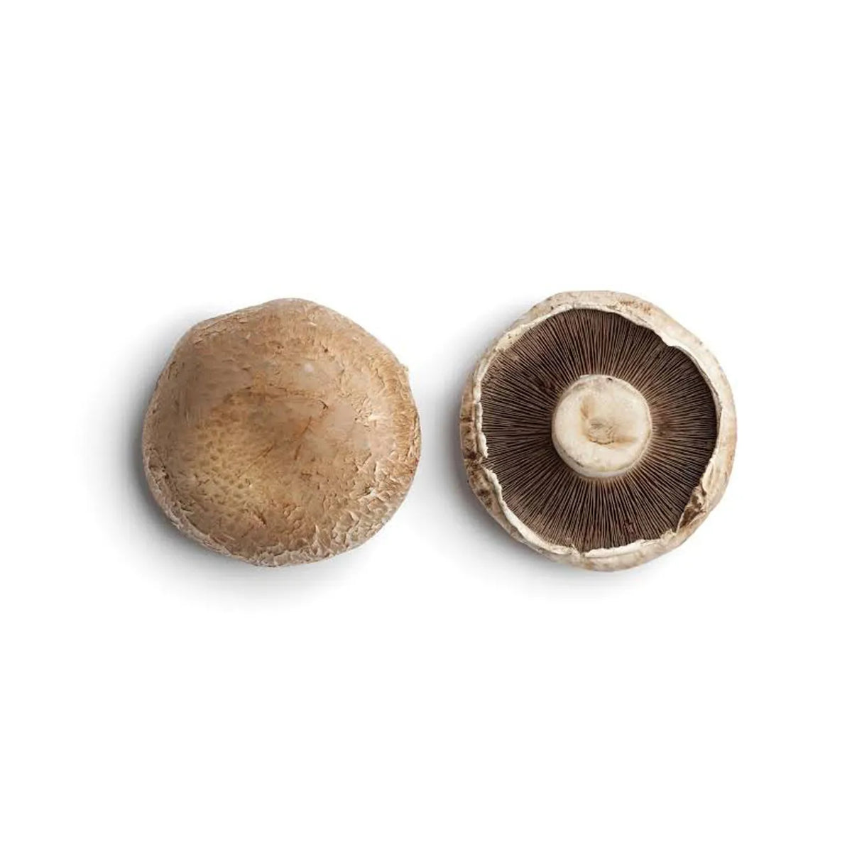 Mushrooms Portobello