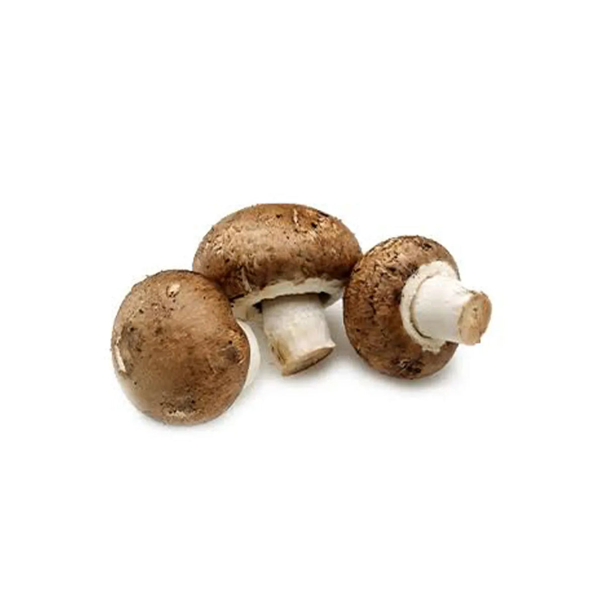 Mushrooms Swiss Brown