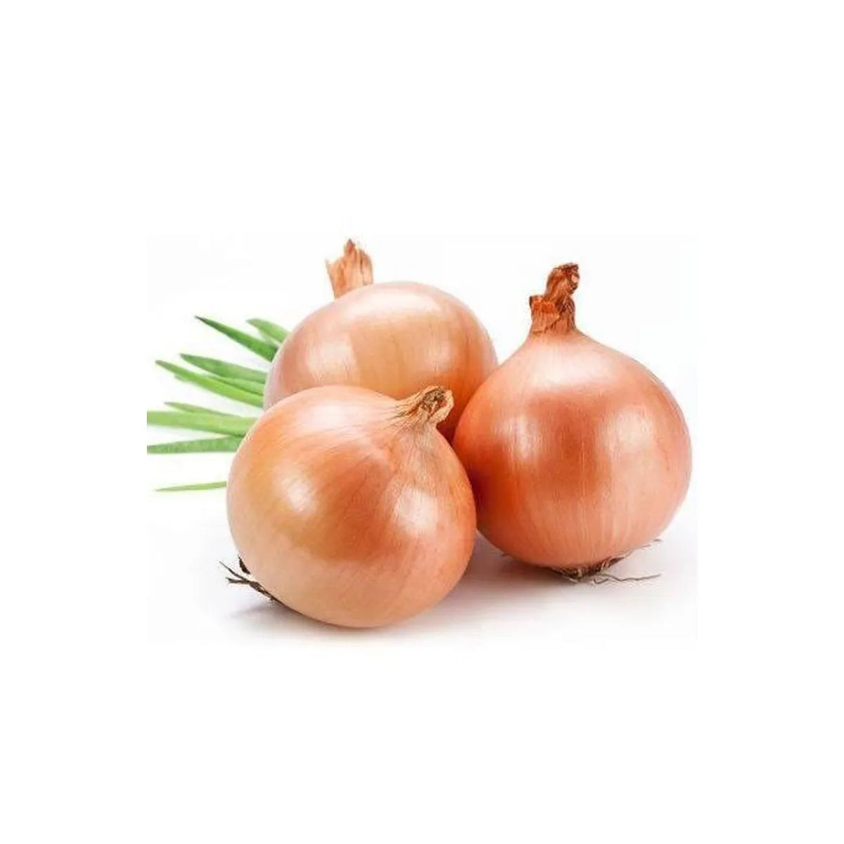 Onion Brown