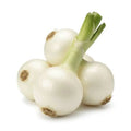 Onion White